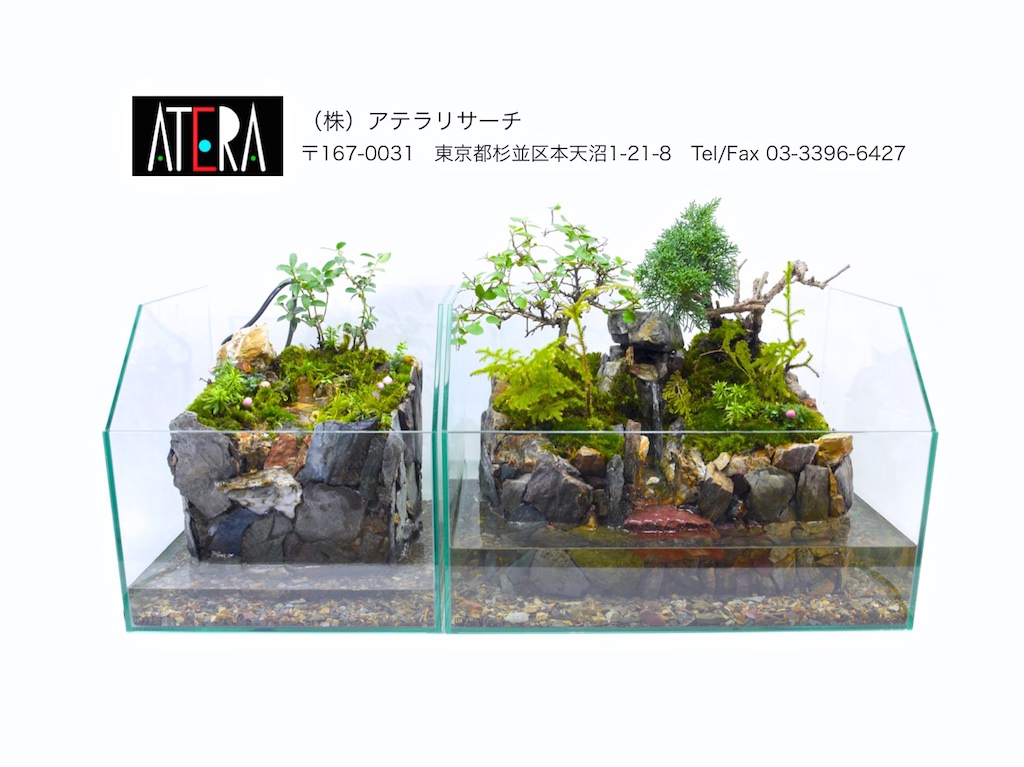 杉並区のアクアテラリウム専門店 Atera アテラ 株 アテラリサーチ