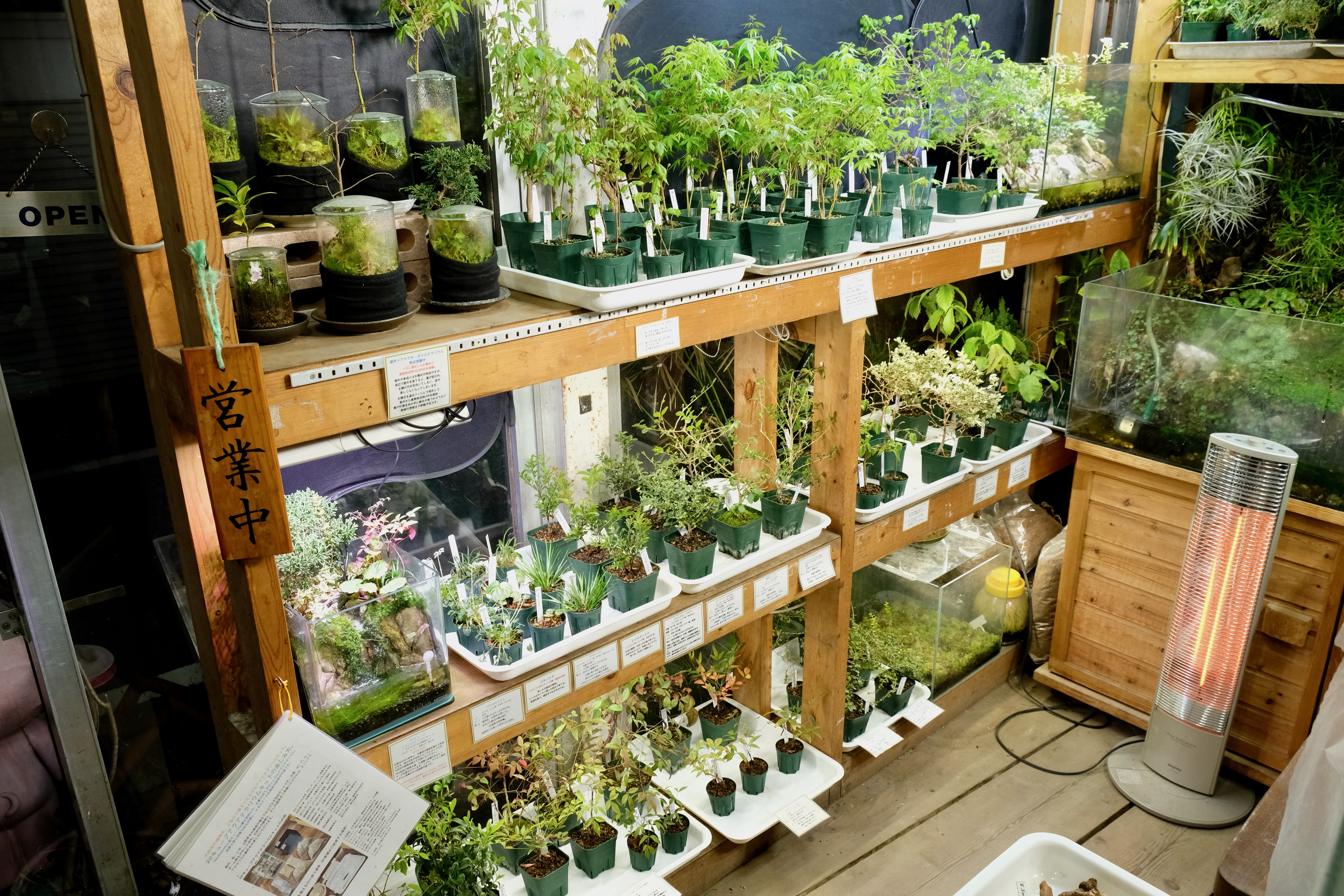 東京都 杉並区のテラリウム専門店 Atera アテラ 東京都 杉並区のテラリウム専門店 Atera アテラ